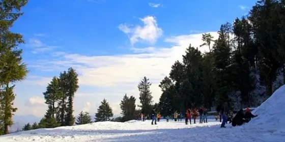 Kufri, Shimla